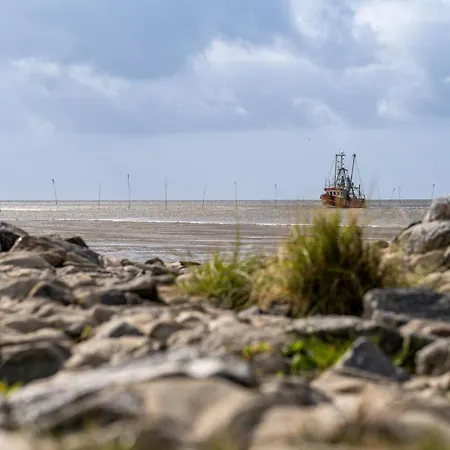 Dom wakacyjny Opi Huck Stroot 19