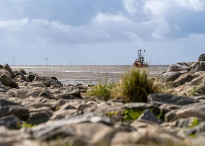 Nyaraló Opi Huck Stroot 19